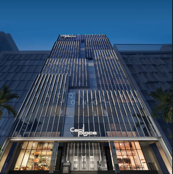 Cecil Place @ 137 Cecil Street, 137 Cecil Street, Boat Quay / Raffles Place / Marina, 2,626 sqft, Office For Sale, by Jacqueline Ong, 60057906 - Exterior - CommercialGuru.com.sg