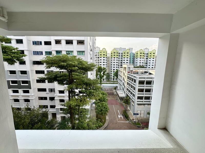 View