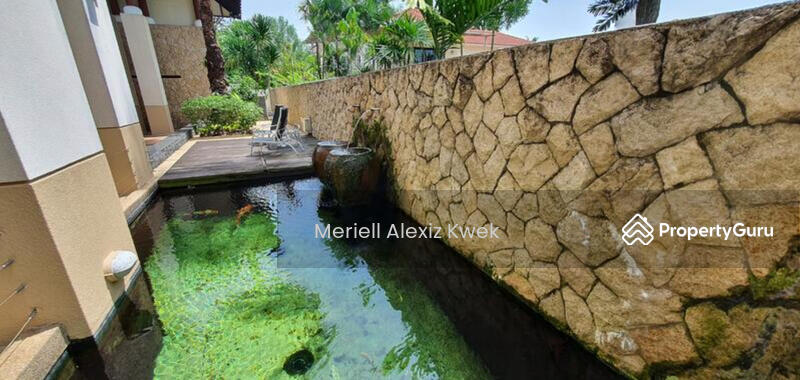 Pond