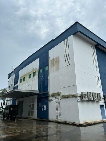 Tuas drive, , 59,245 sqft, Factory / Workshop (B2) For Sale, by Kai Ng, 60061584 - Exterior - CommercialGuru.com.sg