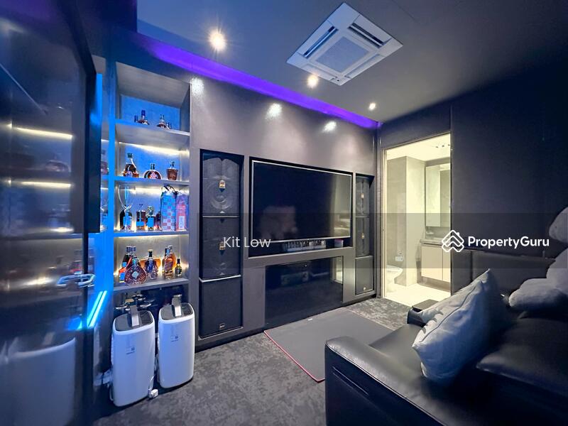 Basement Entertainment Room