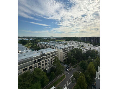 For Sale - Skies Miltonia