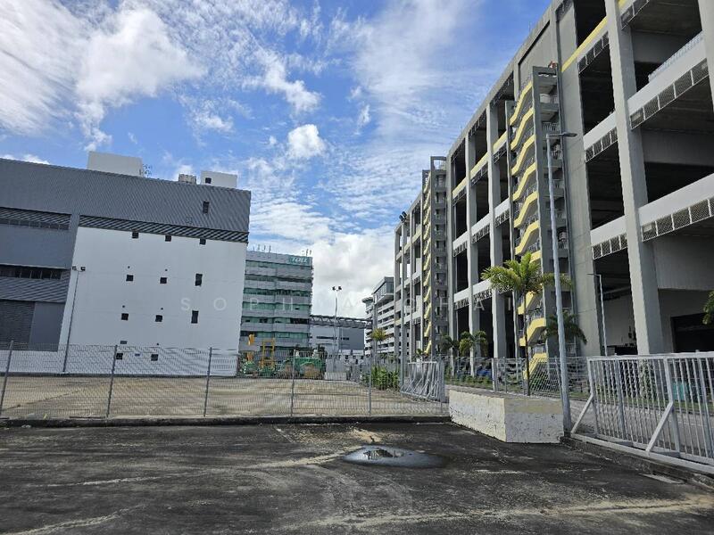OPEN YARD storage LOYANG OFFSHORE SUPPLY BASE, LOYANG CRESCENT, 3,713 sqft, Factory / Workshop (B2) For Rent, by Sophia Chai, 60062980 - CommercialGuru.com.sg