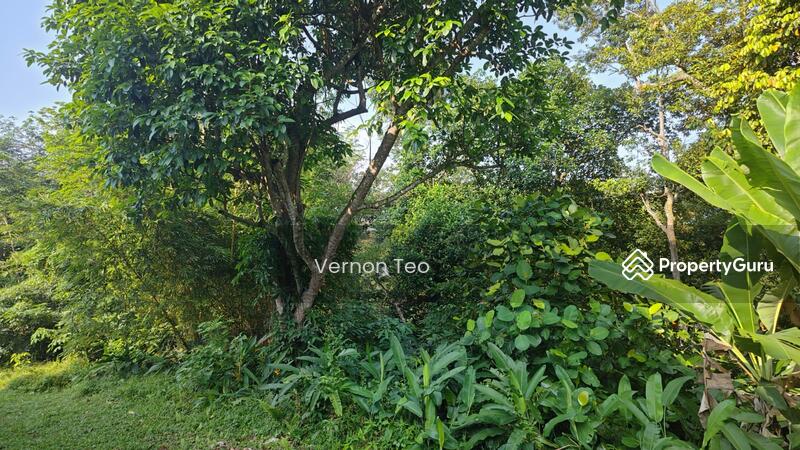 For Sale - QUIET FOREST SINGLE PLOT MULTI GEN FAMILY HOME