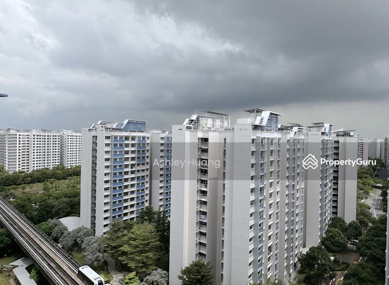 View frm service yard (full privacy)