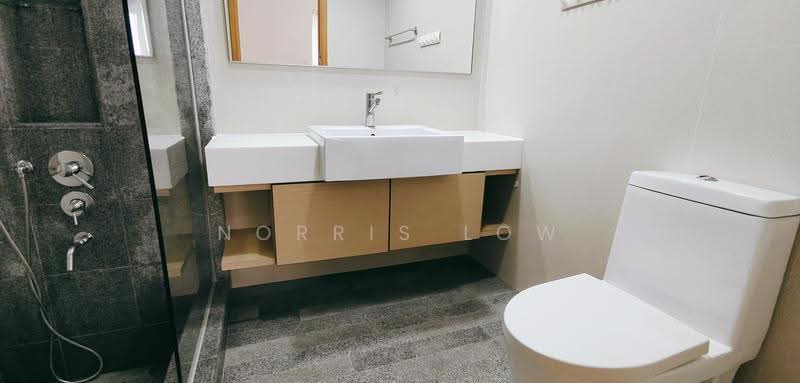 8 @ Mount Sophia, 6 Mount Sophia, Orchard / River Valley, 3 Bedrooms, 1,367 sqft, Condominium For Rent, by Norris Low, 60066095 - Bathroom - PropertyGuru.com.sg