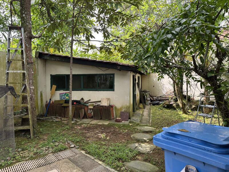 Backyard with Shed