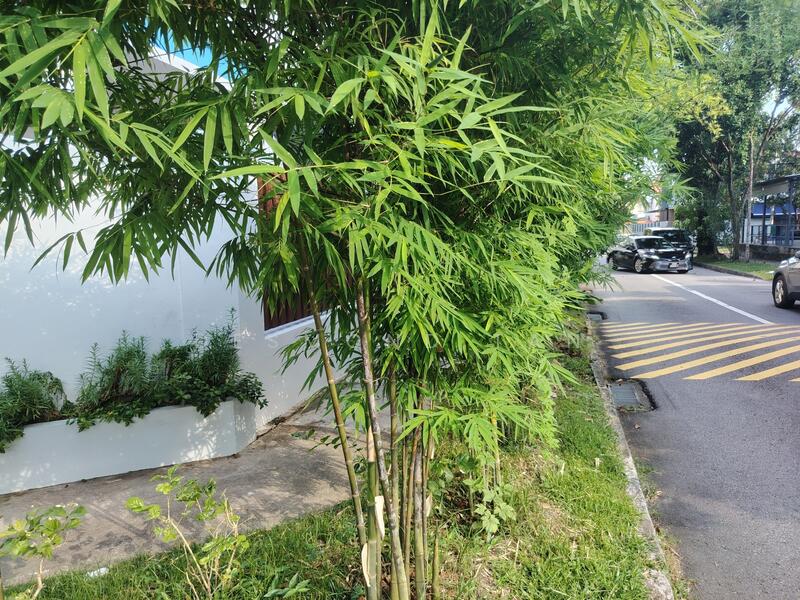 For Sale - Tanah merah mrt