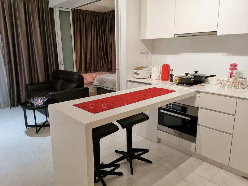 RV Residences, 461 River Valley Road, Studio, 420 sqft, Condominium For Rent, by Nicoll Koh, 60067860 - Kitchen - PropertyGuru.com.sg