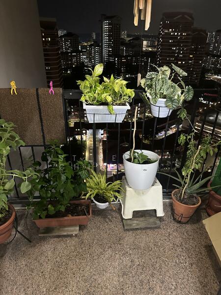 290 Bishan Street 24, 290 Bishan Street 24, 3 Bedrooms, 1,300 sqft, HDB Flat For Rent, by Steve Ng Chih Wei, 60068495 - Balcony - PropertyGuru.com.sg