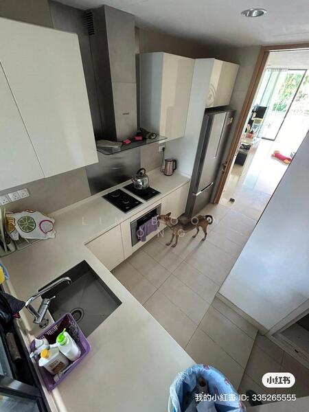 Parvis, 12 Holland Hill, Room Rental, 120 sqft, Condominium For Rent, by Lim Boon Hong, 60068871 - Kitchen - PropertyGuru.com.sg