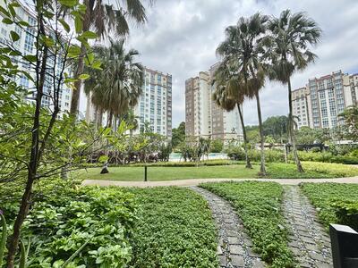 For Sale - The Tropica