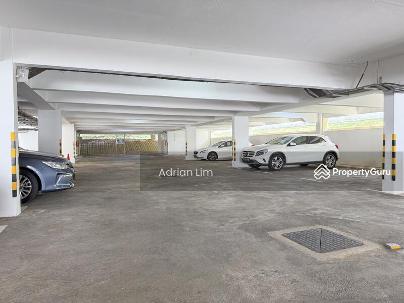 Ample Carpark Lots
