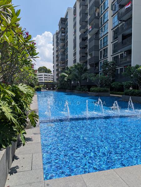Family pool