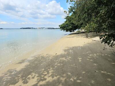 For Sale - Pasir Ris Beach Park