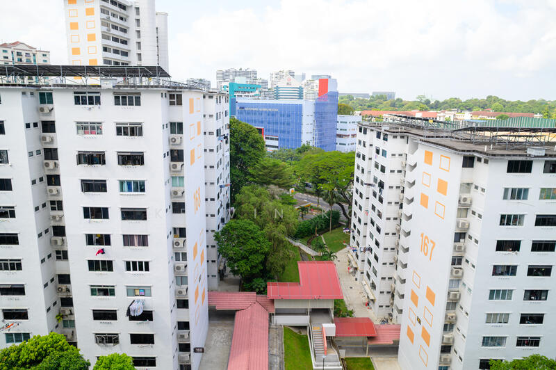 View from Yard Area
