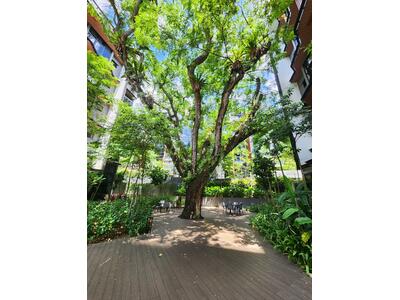 For Rent - Daintree Residence