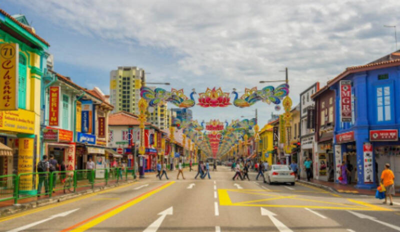 Little India Shop Houses, 2 Veerasamy Road, 2,980 sqft, Shop / Shophouse For Sale, by Roy Shoban, 60073595 - Others - CommercialGuru.com.sg