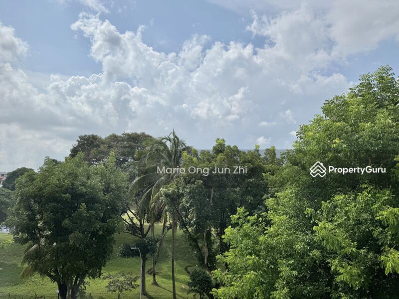 Greenery View