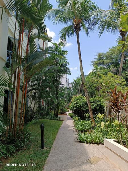 For Rent - Dormer Park