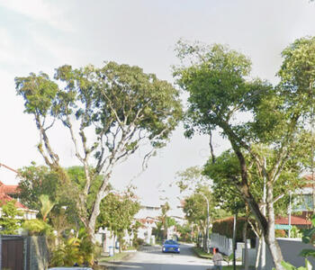 For Sale - Eng Kong Park