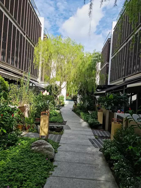 Garden