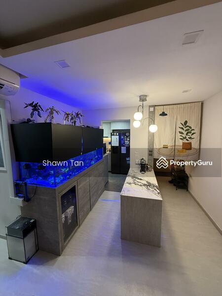 Dining / living area 