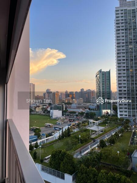 View