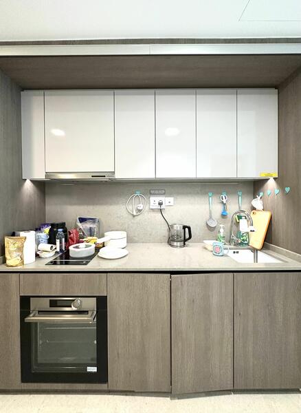 Avenue South Residence, 11 Silat Avenue, 1 Bedroom, 527 sqft, Condominium For Rent, by Kai Tan, 60080058 - PropertyGuru.com.sg