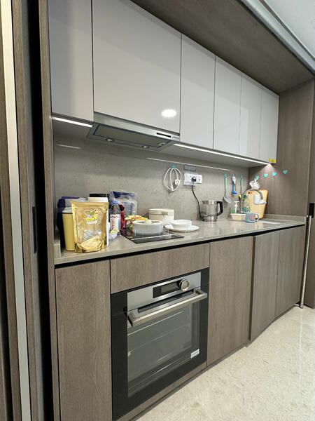 Avenue South Residence, 11 Silat Avenue, 1 Bedroom, 527 sqft, Condominium For Rent, by Kai Tan, 60080058 - PropertyGuru.com.sg