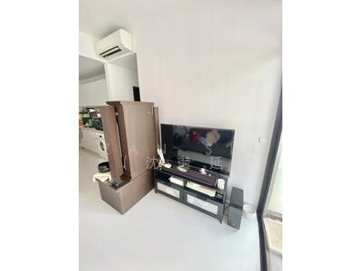 For Sale - Neem Tree