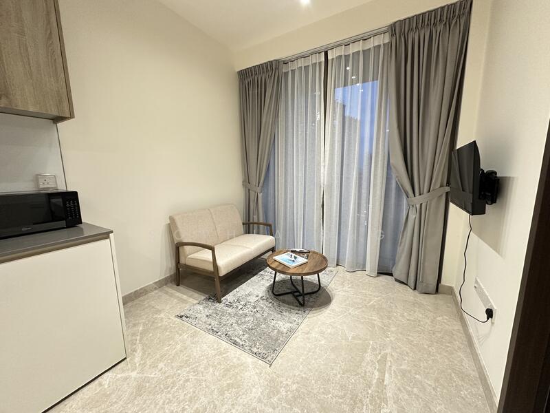 Park Place Residences, 2 Paya Lebar Road, Eunos / Geylang / Paya Lebar, 1 Bedroom, 484 sqft, Condominium For Rent, by Sophia Ong, 60082853 - Living Room - PropertyGuru.com.sg