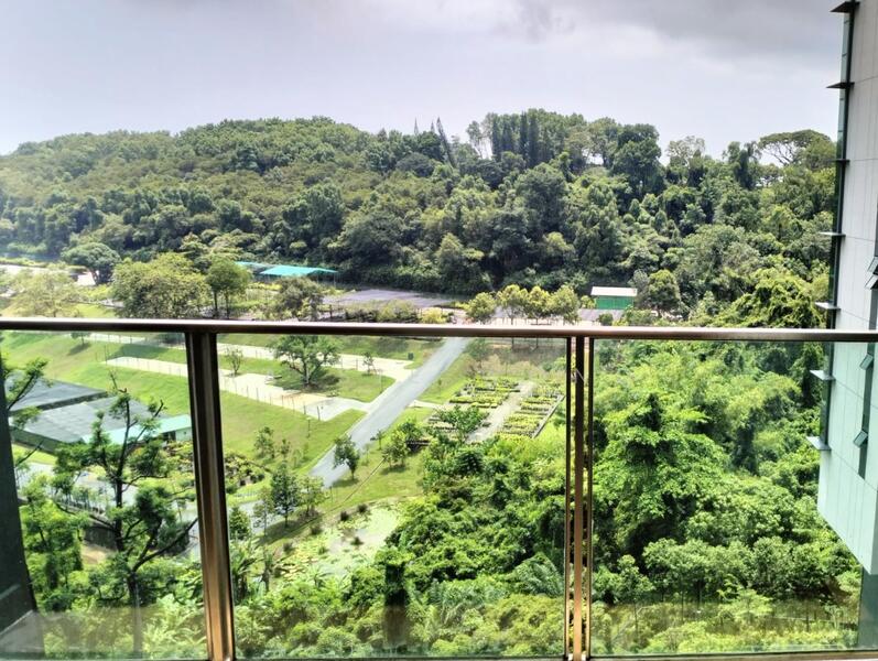 View