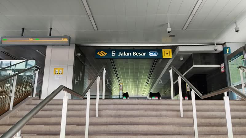 Rowell Road, Serangoon road/ Dickson Road/ Upper Weld Riad, Farrer Park / Serangoon Rd, 4,900 sqft, Shop / Shophouse For Sale, by Shirley Tan, 60083762 - Entrance - CommercialGuru.com.sg