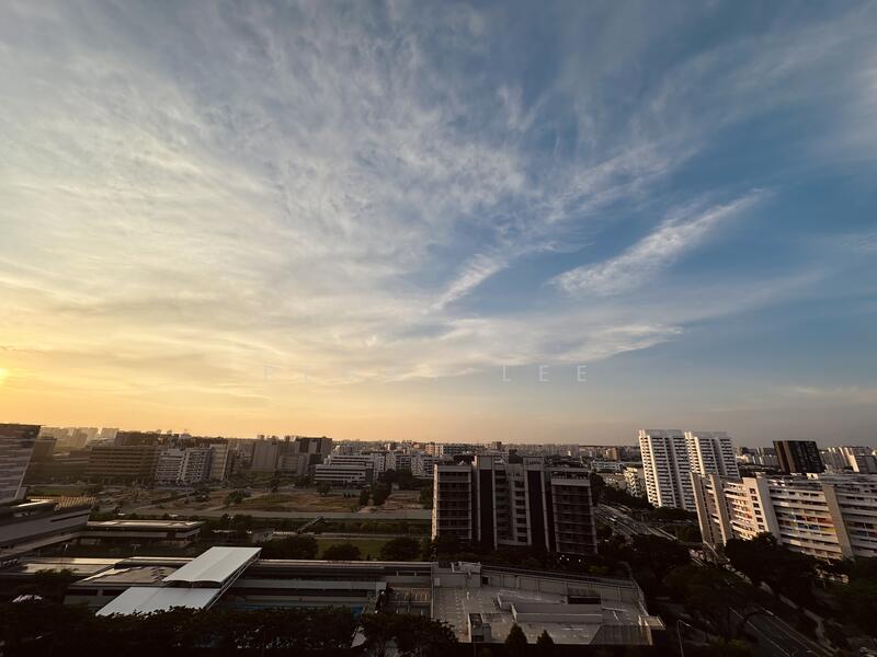 View