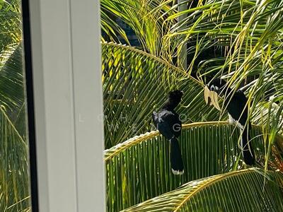 For Sale - 721 Pasir Ris Street 72