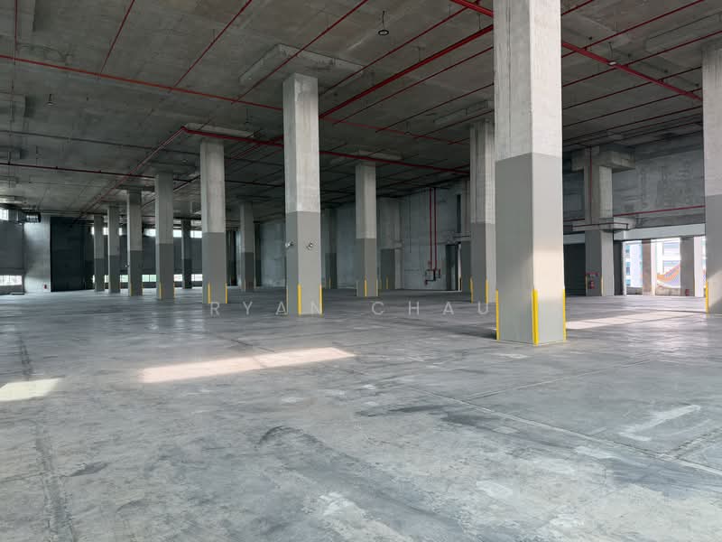 Dedicated Floor | 10m Clear | 6 Bays @ Changi, , 42,000 sqft, Warehouse For Rent, by Ryan Chau, 60086162 - Interior - CommercialGuru.com.sg