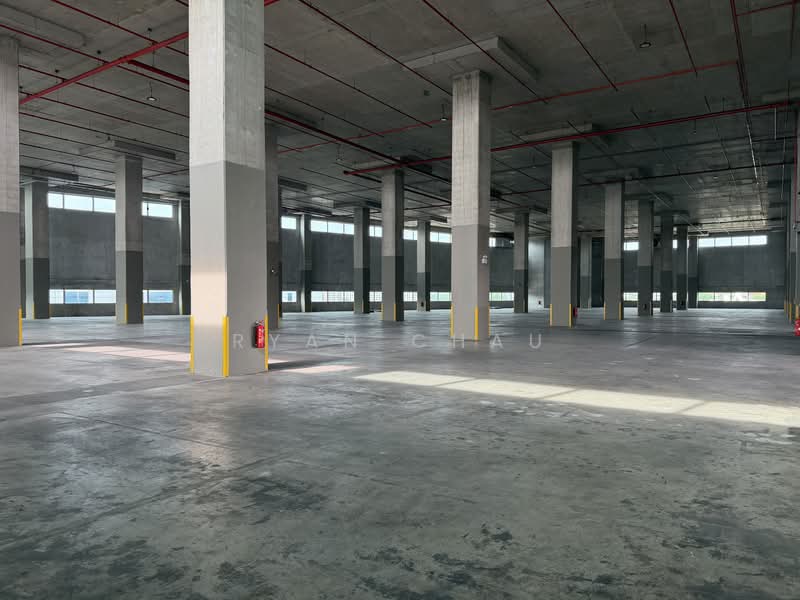 Dedicated Floor | 10m Clear | 6 Bays @ Changi, , 42,000 sqft, Warehouse For Rent, by Ryan Chau, 60086162 - Interior - CommercialGuru.com.sg