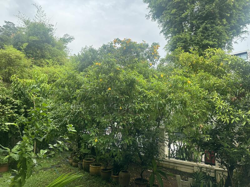 $8.XM ONLY! $25XX PSF! DUAL FRONTAGE ELEVATED SEMI-@ 1KM RGPS/GREENWOOD LOCALE! 9623.4620 Semi-Detached House For Sale at S$ 8,980,000 | PropertyGuru Singapore