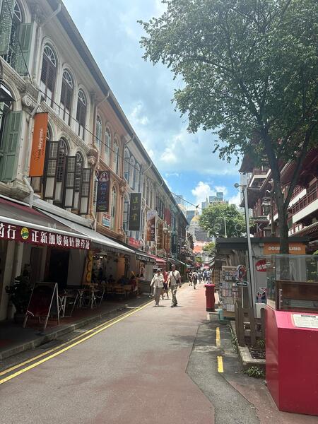 24 Sago Street, , 2,658 sqft, Shop / Shophouse For Sale, by May Lai Sook Mei, 60086378 - Others - CommercialGuru.com.sg