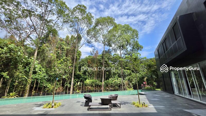 For Rent - Newly Renovated & Tranquil 6 bedroom GCB next to MacRitchie Reservoir