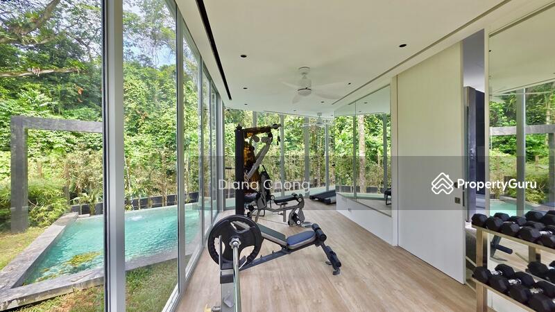For Rent - Newly Renovated & Tranquil 6 bedroom GCB next to MacRitchie Reservoir