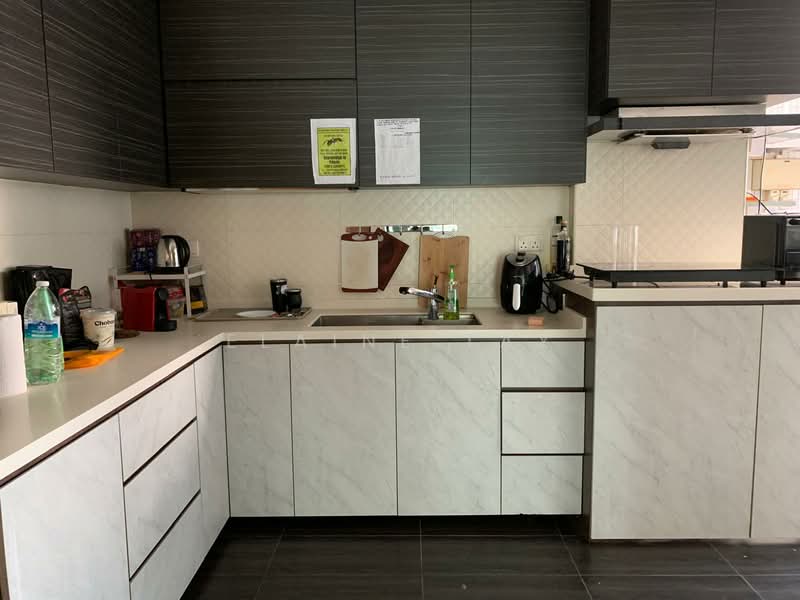 Palm Lodge, 4 Geylang Lor 37, Room Rental, 140 sqft, Condominium For Rent, by Elaine Tay, 60086611 - Kitchen - PropertyGuru.com.sg
