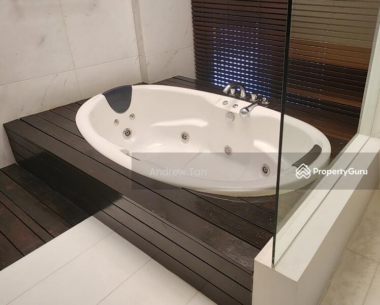 Master room Jacuzzi
