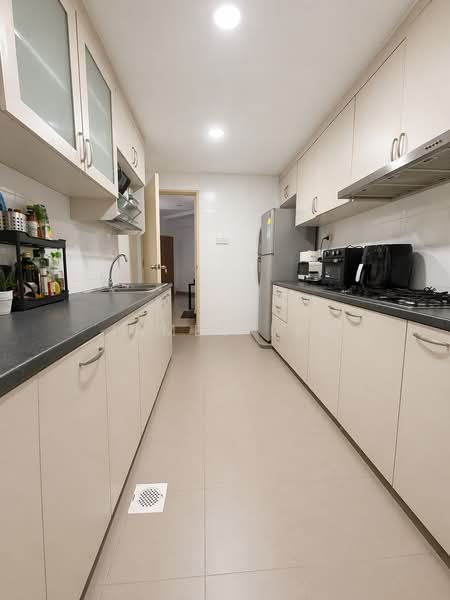The Regalia, 2 River Valley Close, Room Rental, 120 sqft, Apartment For Rent, by James Lee, 60086984 - Kitchen - PropertyGuru.com.sg