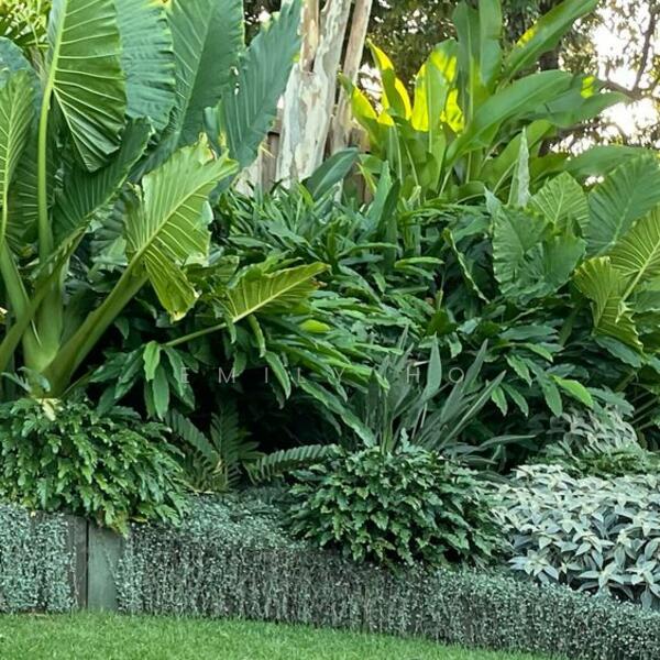$18XX PSF!! GCB IN CENTRAL!!, Tanglin / Holland / Bukit Timah, 4 Bedrooms, 8,000 sqft, Good Class Bungalow For Sale, by Emily Ho, 60087717 - PropertyGuru.com.sg