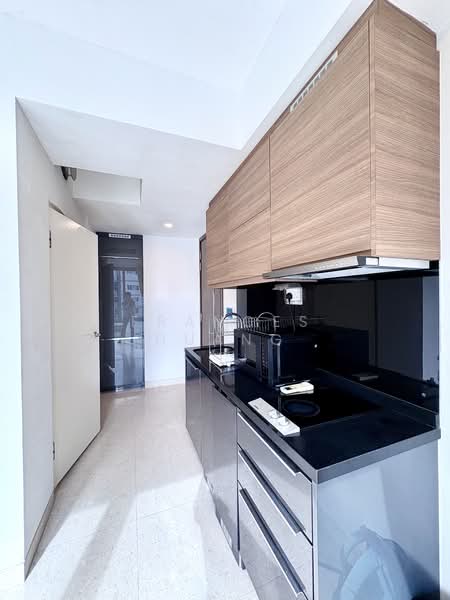 Stellar RV, 408 River Valley Road, Tanglin / Holland / Bukit Timah, 2 Bedrooms, 581 sqft, Condominium For Rent, by Frances Huang, 60088197 - Kitchen - PropertyGuru.com.sg