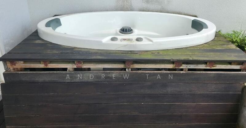 Jacuzzi (Master room terrace)
