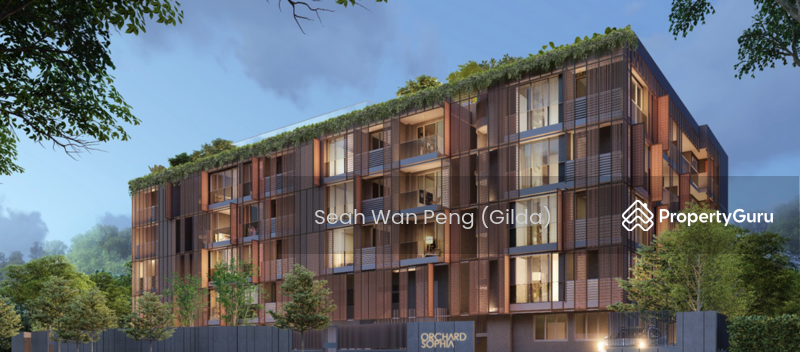 For Sale - Orchard Sophia