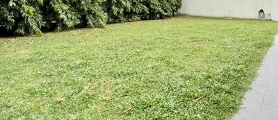 For Sale - Gorgeous Rectangular Detached Land With Very Wide Frontage For Rebuild